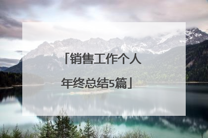 销售工作个人年终总结5篇