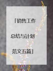 销售工作总结与计划范文五篇