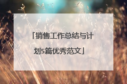 销售工作总结与计划5篇优秀范文
