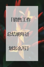 销售工作总结明年计划怎么写