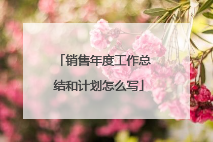销售年度工作总结和计划怎么写