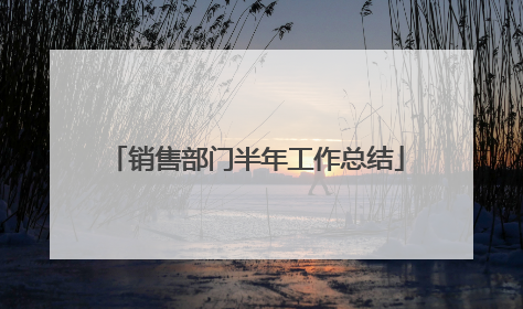 销售部门半年工作总结