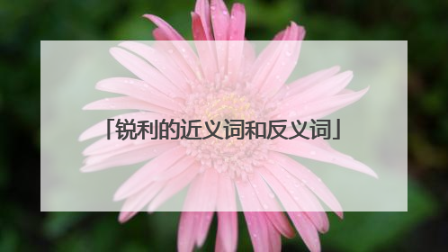 锐利的近义词和反义词