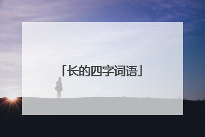 长的四字词语