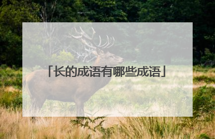长的成语有哪些成语