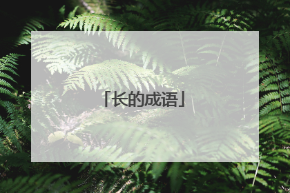 长的成语
