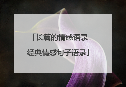 长篇的情感语录_经典情感句子语录
