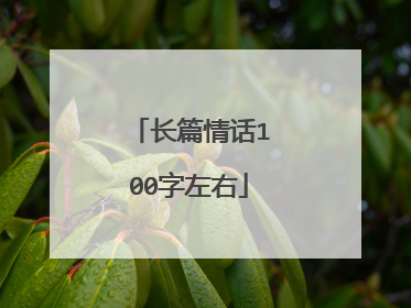长篇情话100字左右