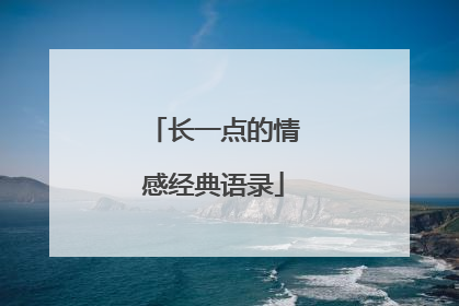 长一点的情感经典语录