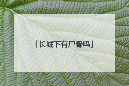 长城下有尸骨吗