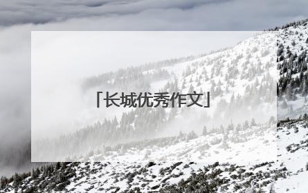 长城优秀作文