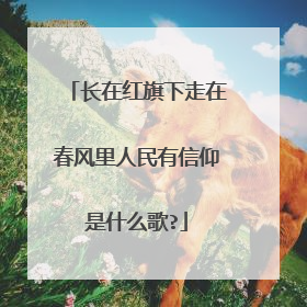 长在红旗下走在春风里人民有信仰是什么歌?