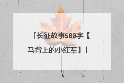 长征故事500字【马背上的小红军】