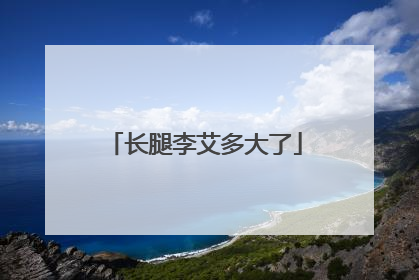长腿李艾多大了