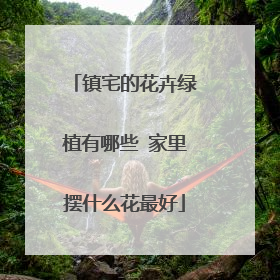 镇宅的花卉绿植有哪些 家里摆什么花最好