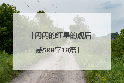 闪闪的红星的观后感500字10篇