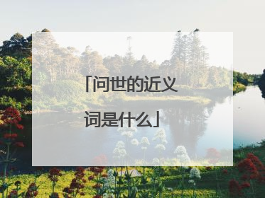 问世的近义词是什么