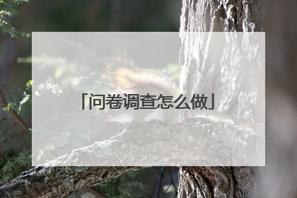 问卷调查怎么做