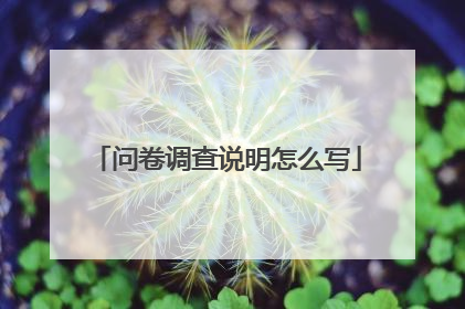 问卷调查说明怎么写