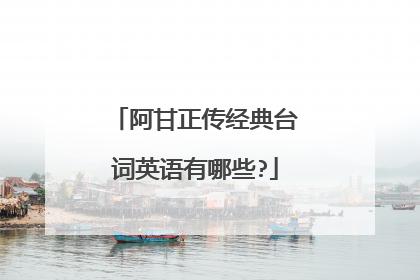 阿甘正传经典台词英语有哪些?