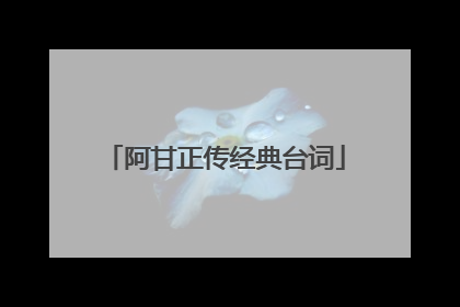 阿甘正传经典台词