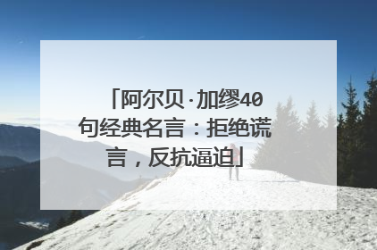 阿尔贝·加缪40句经典名言:拒绝谎言,反抗逼迫