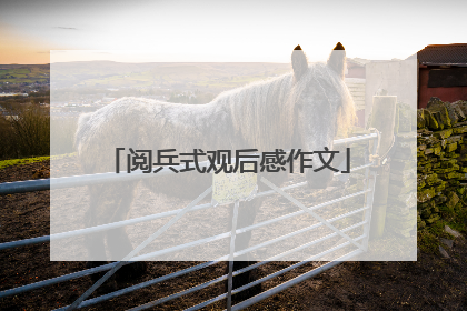 阅兵式观后感作文