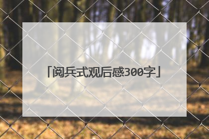 阅兵式观后感300字
