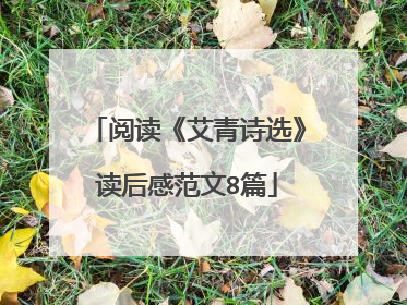 阅读《艾青诗选》读后感范文8篇