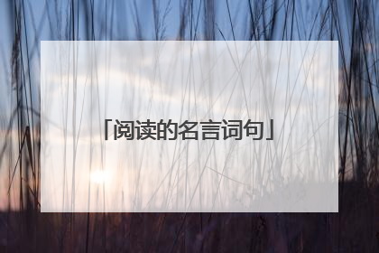 阅读的名言词句