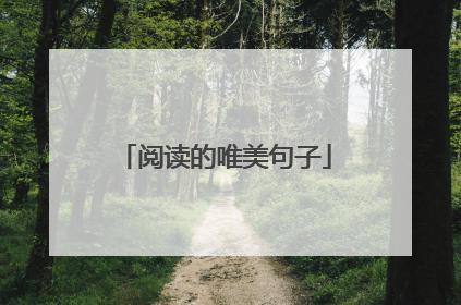阅读的唯美句子