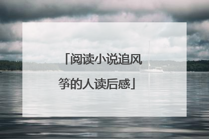 阅读小说追风筝的人读后感
