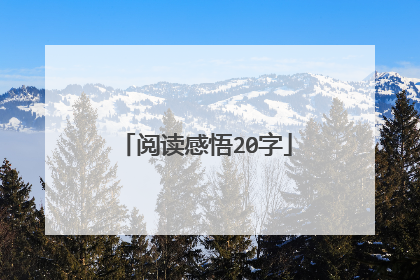 阅读感悟20字