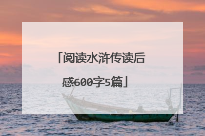 阅读水浒传读后感600字5篇