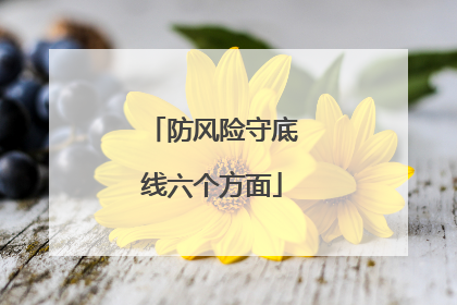 防风险守底线六个方面