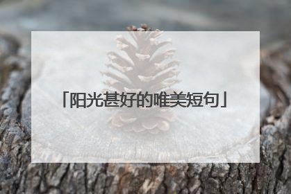 阳光甚好的唯美短句