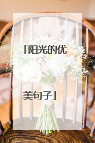 阳光的优美句子