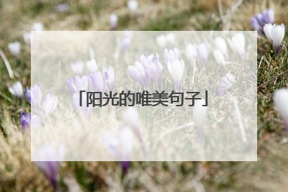 阳光的唯美句子