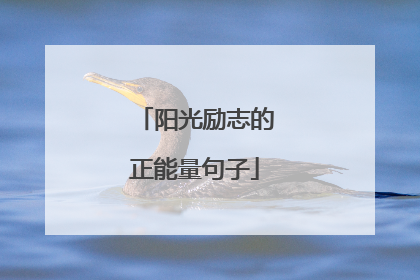 阳光励志的正能量句子