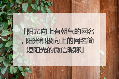 阳光向上有朝气的网名，阳光积极向上的网名简短阳光的微信昵称