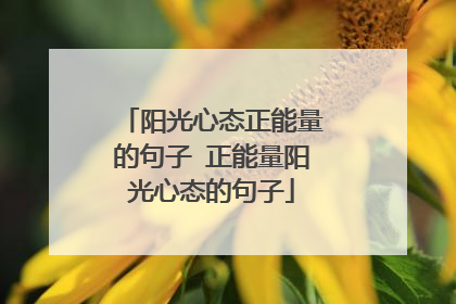 阳光心态正能量的句子 正能量阳光心态的句子