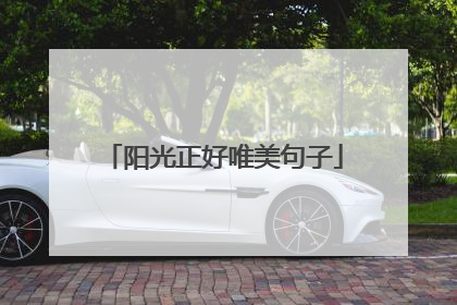 阳光正好唯美句子