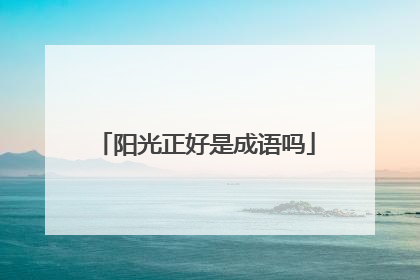 阳光正好是成语吗
