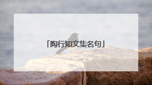 陶行知文集名句