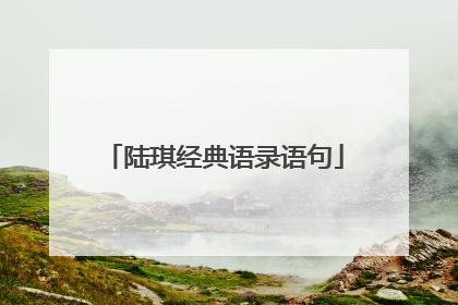 陆琪经典语录语句