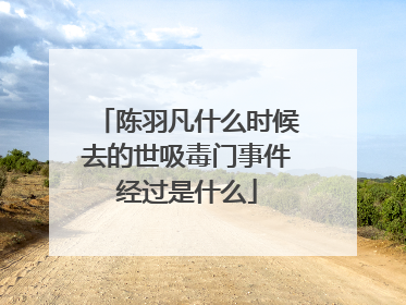 陈羽凡什么时候去的世吸毒门事件经过是什么