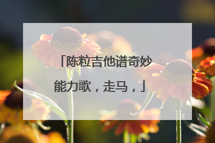 陈粒吉他谱奇妙能力歌，走马，