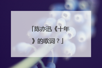 陈亦迅《十年》的歌词?