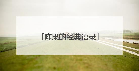 陈果的经典语录