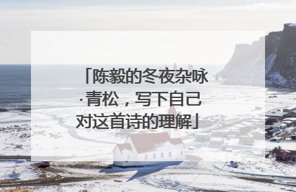 陈毅的冬夜杂咏·青松,写下自己对这首诗的理解